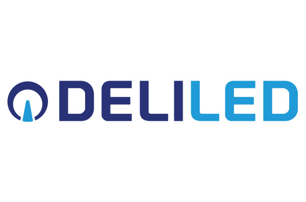 DELILED SAS