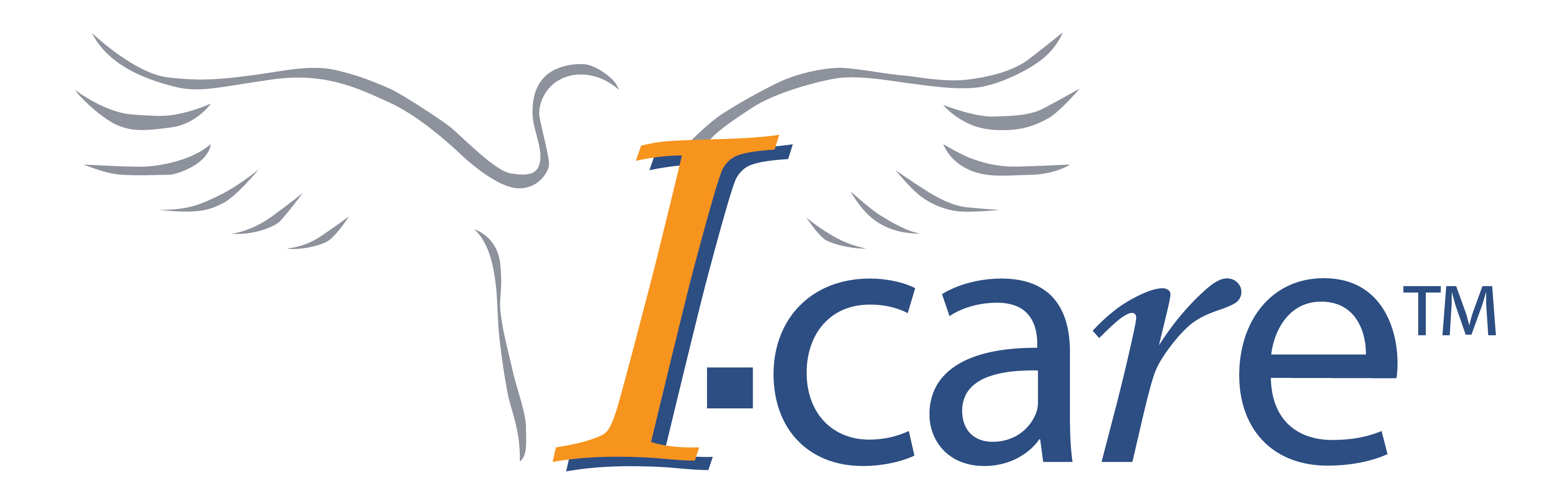 I-CARE GROUP