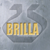 BRILLA CHAUDRONNERIE - OGIER ETS
